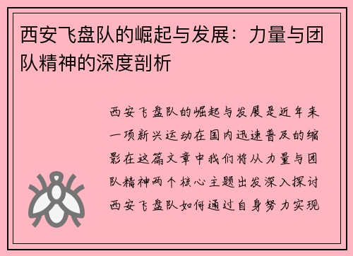 西安飞盘队的崛起与发展：力量与团队精神的深度剖析